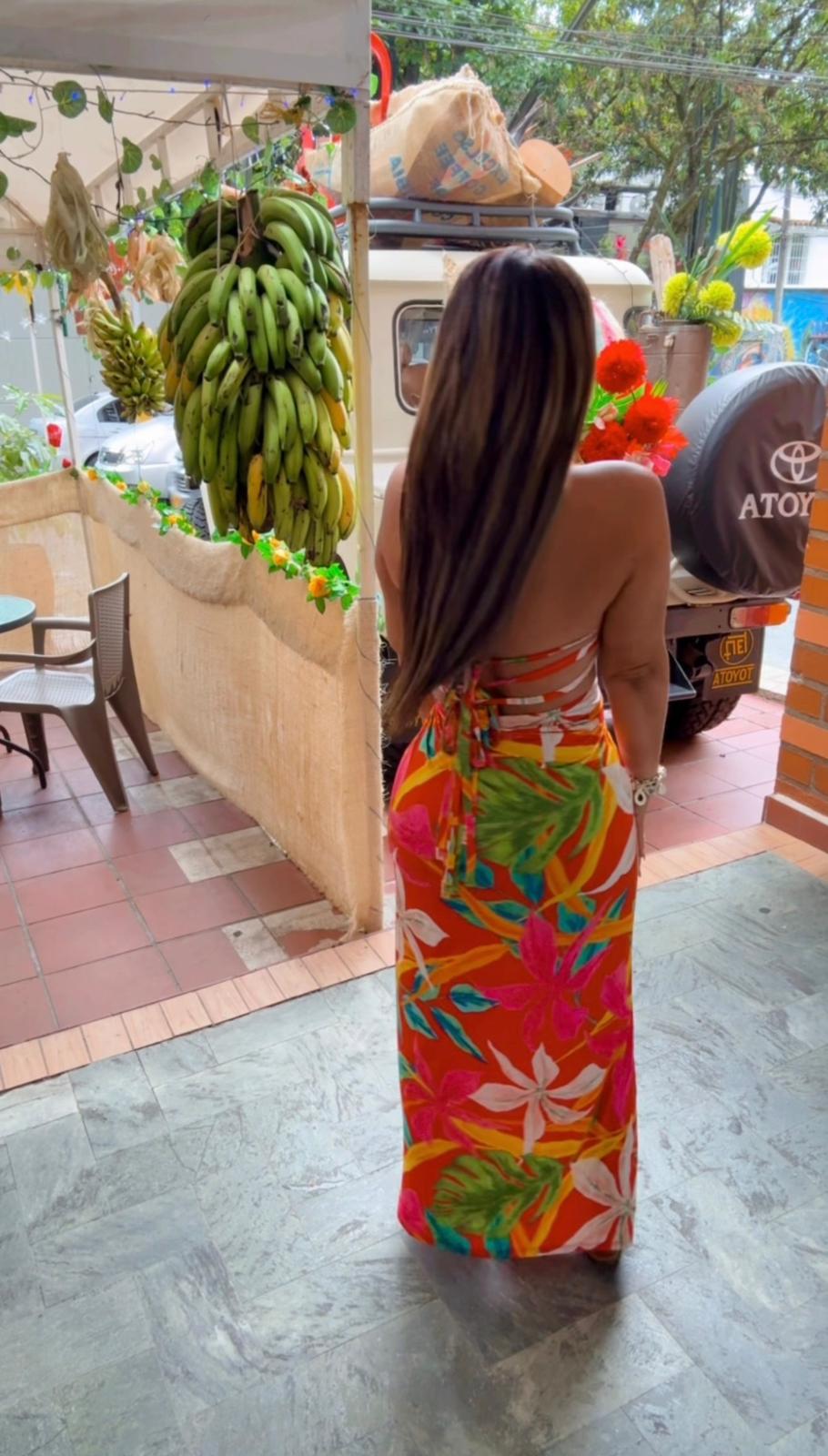 Antioquia Tropical Dress (stretch)