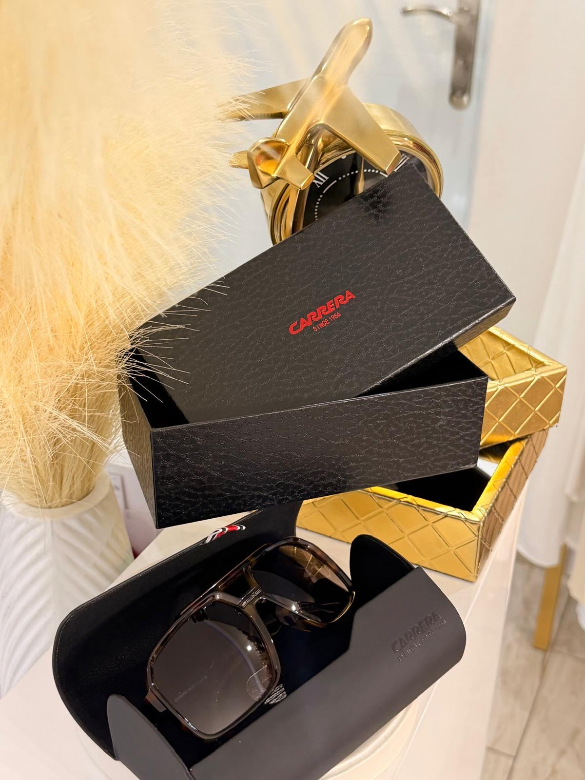 CRrera Brown Sunglasses (Kit Completo)