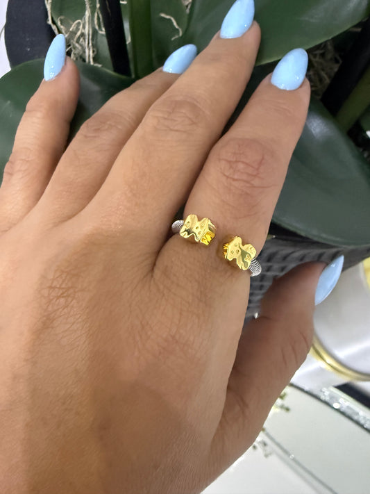 Ted 2 Tones Mesh Silver Ring (material plata 925