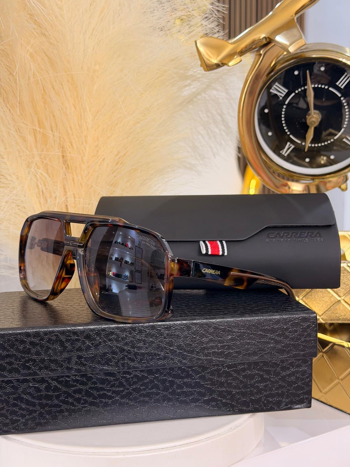 CRrera Brown Sunglasses (Kit Completo)