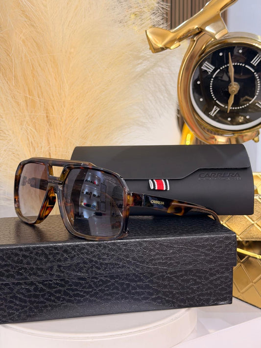 CRrera Brown Sunglasses (Kit Completo)